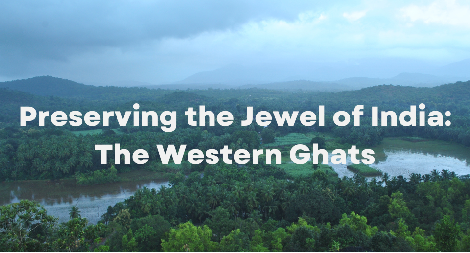 Preserving the Jewel of India The Western Ghats Science In India