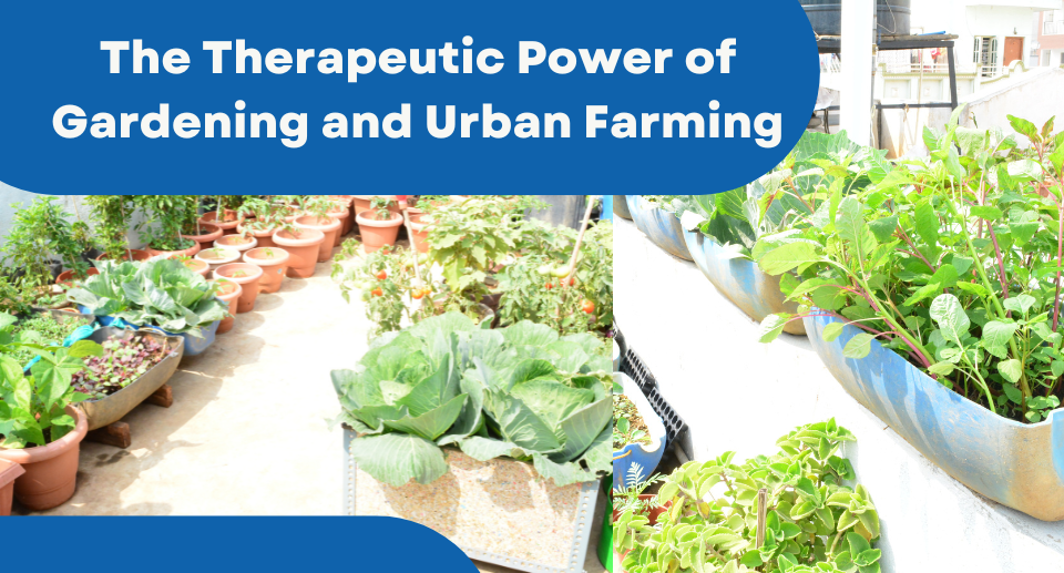 Cultivating Wellness The Therapeutic Power of Gardening and Urban Farming