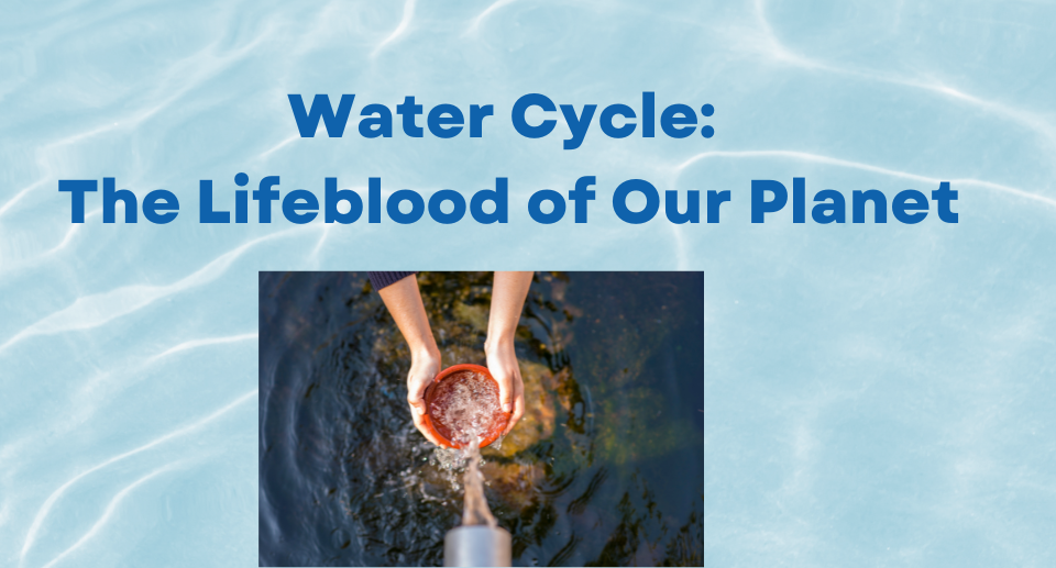 Water Cycle: The Lifeblood of Our Planet